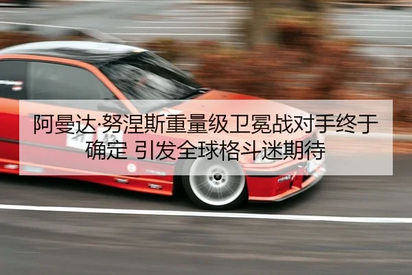 阿曼达·努涅斯重量级卫冕战对手终于确定 引发全球格斗迷期待